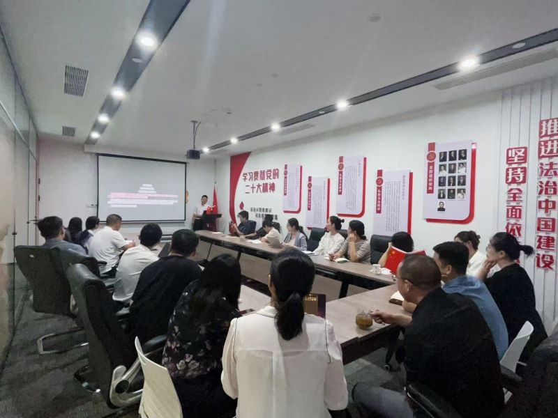 刘红律师在会议室研讨案件